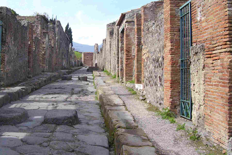 From Sorrento: Day Tour to Pompeii Ruins and Mount Vesuvius Tour in Spanish