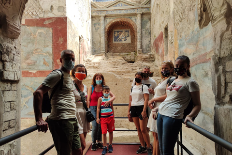 From Sorrento: Day Tour to Pompeii Ruins and Mount Vesuvius Tour in Spanish