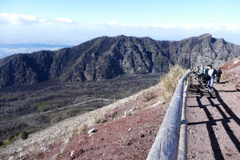 Da Sorrento: Tour di un giorno alle rovine di Pompei e al VesuvioTour in italiano