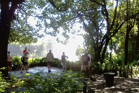 Experimenta las cataratas Victoria.Tour guiado a las cataratas Victoria