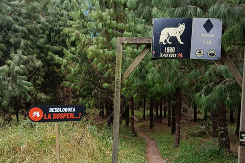 科托帕希：公园山脉自行车骑行，自然与乐趣并存科托帕希：骑行穿越公园山脉，尽享自然与乐趣
