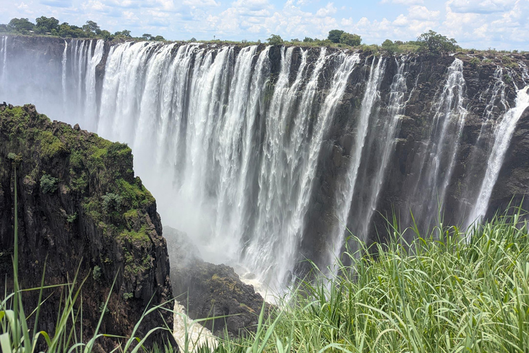 Victoria Falls Half-Day Guided Tour: Zambia & Zimbabwe