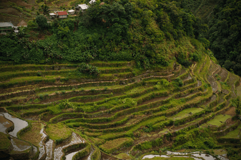 From Manila: 3-Day Sagada + Baguio + Banaue Rice Terraces3-Day Sagada + Baguio + Banaue Rice Terraces (Private)