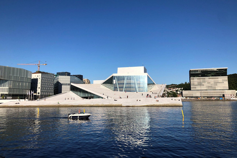 Oslo: Grote stadsrondleiding en fjordcruiseOslo: grote stadstour en boottocht langs de fjorden