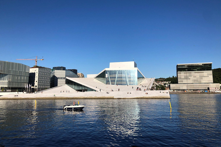 Oslo: Gran tour de la ciudad y crucero por los fiordosOslo: gran tour por la ciudad y crucero por el fiordo