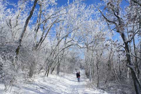 Budapest: Halbtageswanderung in den Budaer Bergen