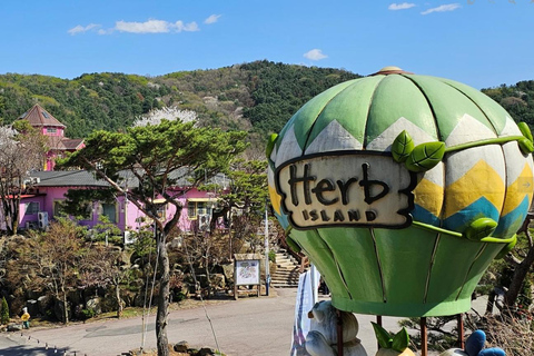 Pocheon Day Trip with Herb Island, Hantan GEO Park &amp; Others