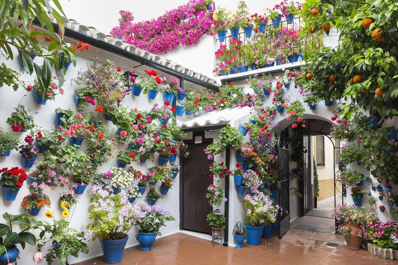Cordoba: Festival der Innenhöfe Führung auf Spanisch