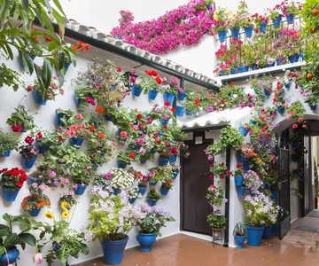 Cordoba: Courtyards Festival Guided Tour