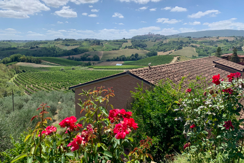 San Gimignano & Volterra: Private Transfer from Florence