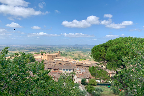 San Gimignano & Volterra: Privater Transfer von Florenz