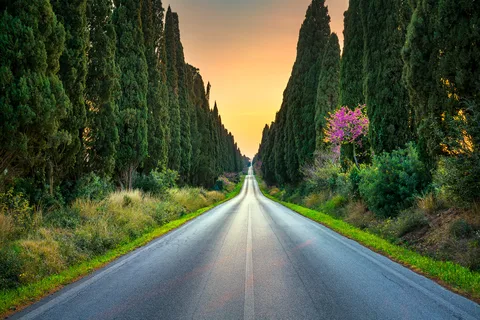 From Florence: Trip to San Gimignano, Volterra and Bolgheri