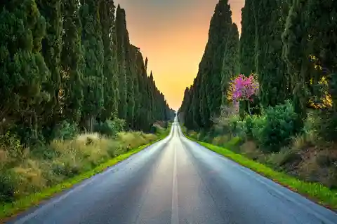 From Florence: Trip to San Gimignano, Volterra and Bolgheri