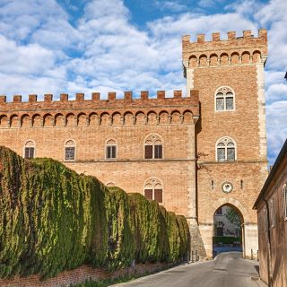 From Florence: Private Transfer to Bolgheri