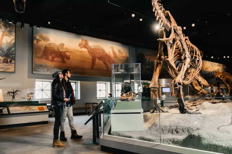 Chicago Field Museum of Natural History Ticket or VIP Tour GetYourGuide