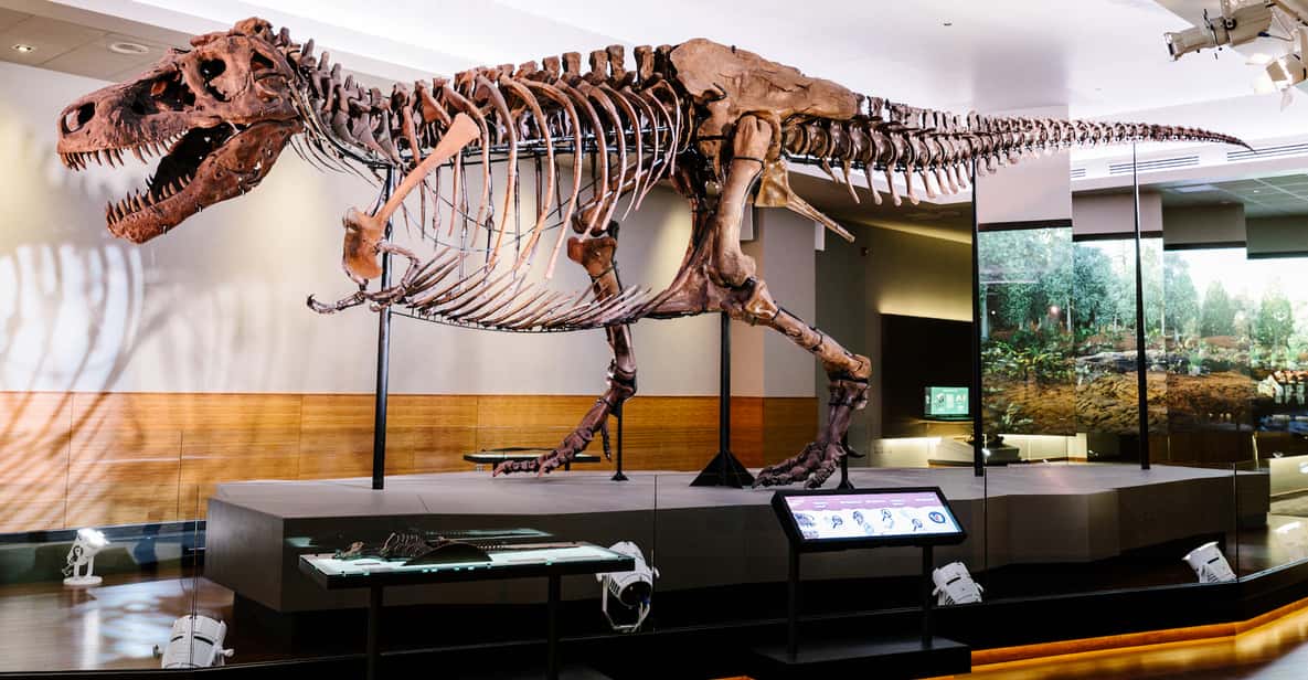 Chicago: entrada o visita VIP al Museo Field de Historia Natural