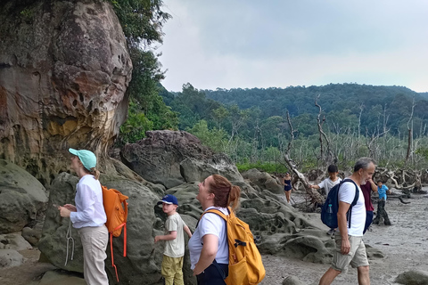 Kuching: Bako Wildlife Day Tour