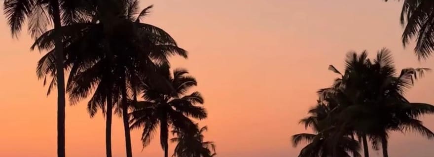 Kayak à Kochi : lever et coucher du soleil, pause thé flottante