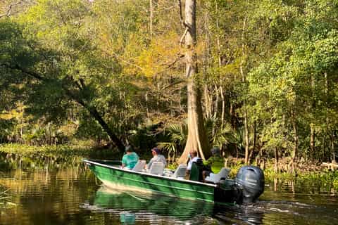 From New Orleans: Small-Group Eco-Friendly Swamp Boat Tour