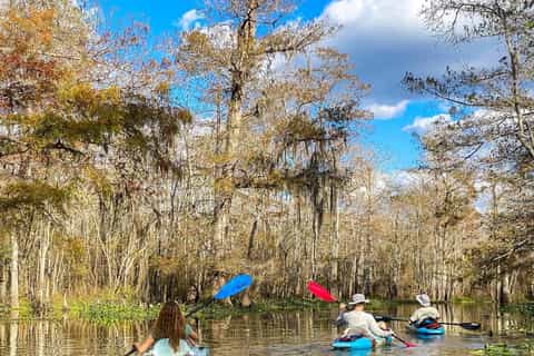 From New Orleans: Guided Kayak Maurepas Swamp Tour