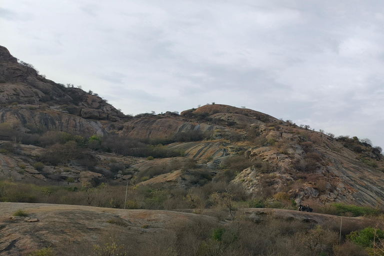 Udaipur: Day Trip to Ranakpur, Kumbhalgarh & Leopard Safari