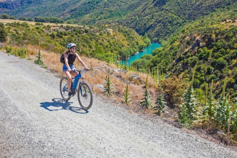Van Arrowtown: Scenic Valley of the Vines Bike & Wine TourPremium Giant 2022 e-bike verhuur