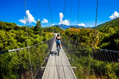 Da Queenstown: Tour del vino e della bicicletta nella "Valle delle Vigne