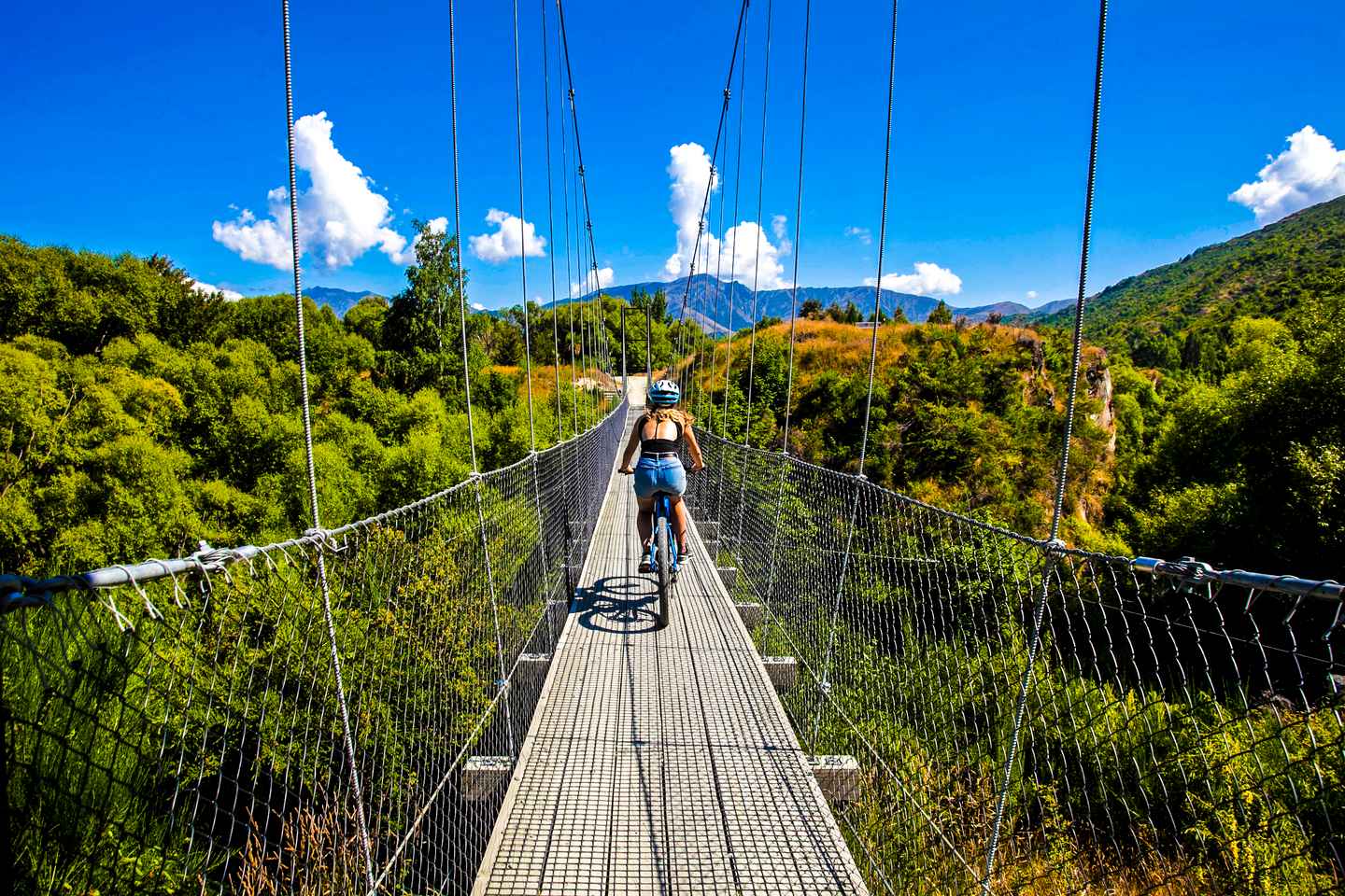 luxury bike tours new zealand