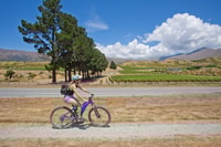 From Arrowtown, Scenic Valley of the Vines Bike & Wine Tour - Housity