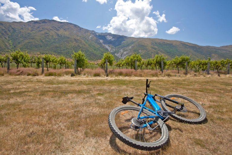 Von Arrowtown aus: Fahrrad- und Weintour durch das malerische Tal der RebenPremium Giant 2022 E-Bike Verleih