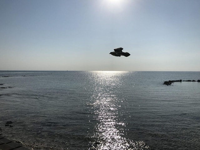 Nassau: Pearl Island Day Trip with Lunch and Snorkeling
