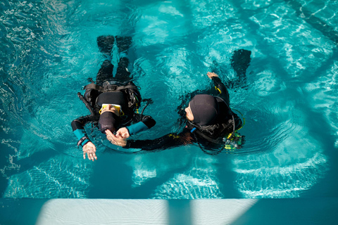 Premium PADI Open Water Course(3 Days 6 Dives)