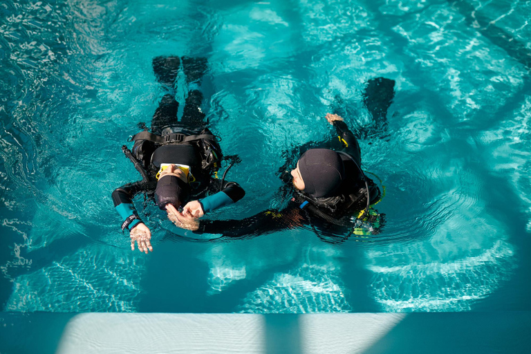 Premium PADI Open Water Course(3 Days 6 Dives)