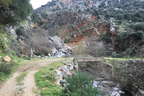 Da Rethymno: safari in fuoristrada con pranzo