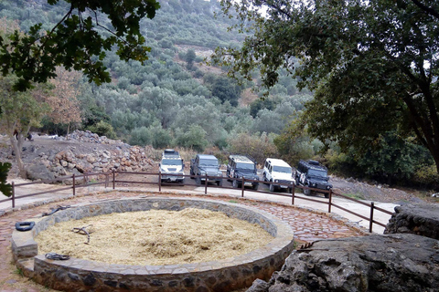 Ab Rethymno: Geländewagen-Safari mit Mittagessen