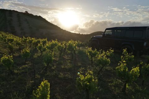Chania: Off-Road Tour at Sunset with Wine Tasting
