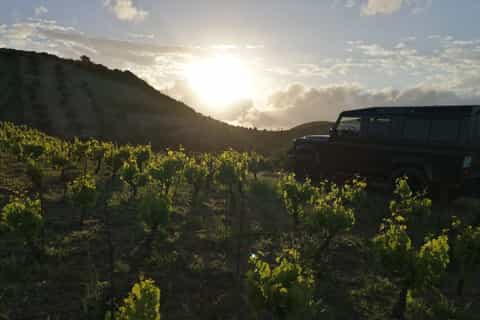 Chania: Off-Road Tour at Sunset with Wine Tasting