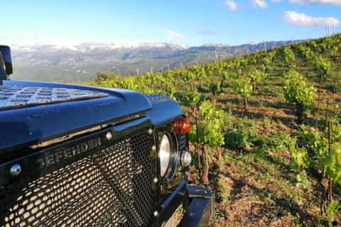 Chania: Off-Road Tour at Sunset with Wine Tasting