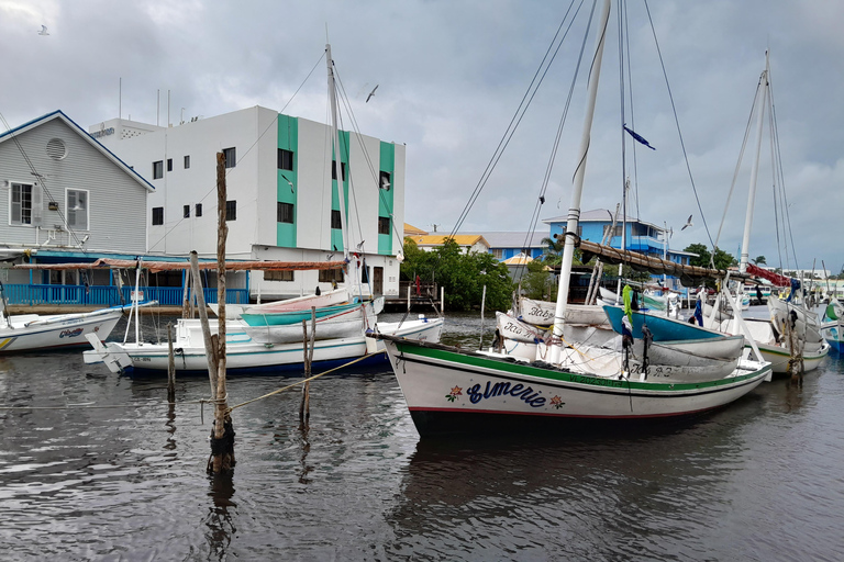 Belize: City Highlights Tour with Rum Distillery Visit