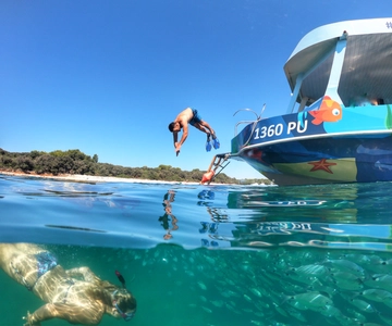 Pula Verudela: Glass-Bottom Boat and Swim with Fish Tour