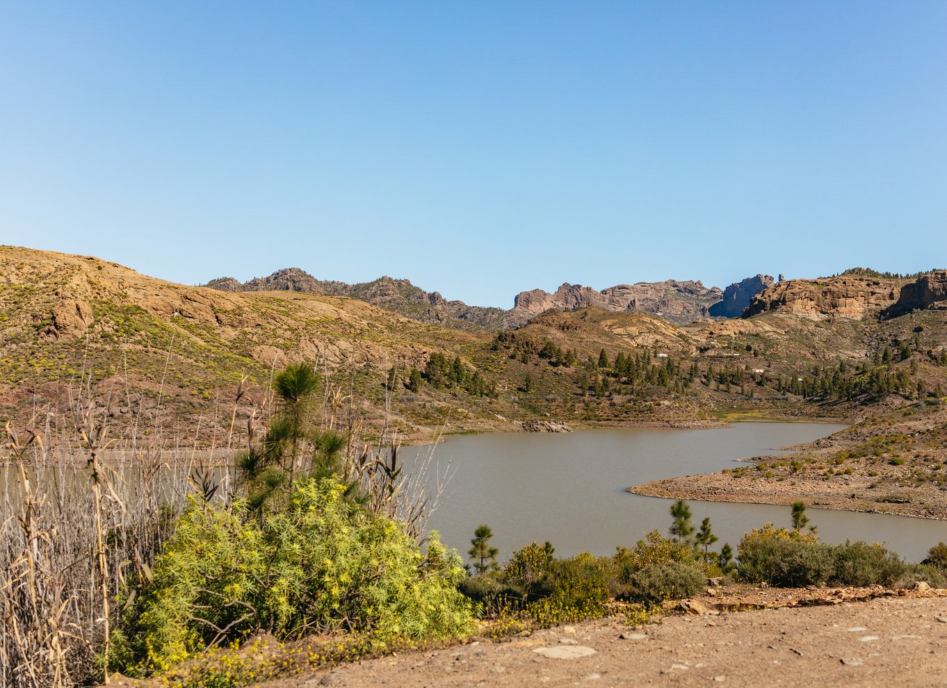 Sydlige Gran Canaria: Offroad-tur i dale og landsbyer med jeep