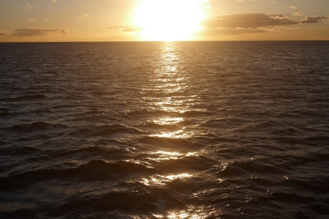 De Kona: excursion en bateau au coucher du soleil à Honokohau avec boissons