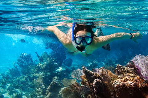 Nha Trang: Hon Mun Marine Park Snorkeling & Island Tour - Image 2