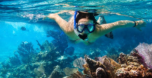 Nha Trang: Hon Mun Marine Park Snorkeling & Island Tour