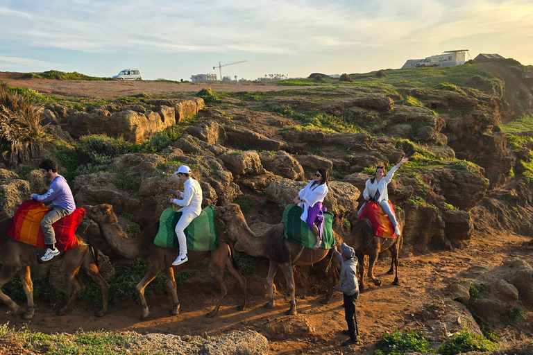 Camel Walk in Tangier