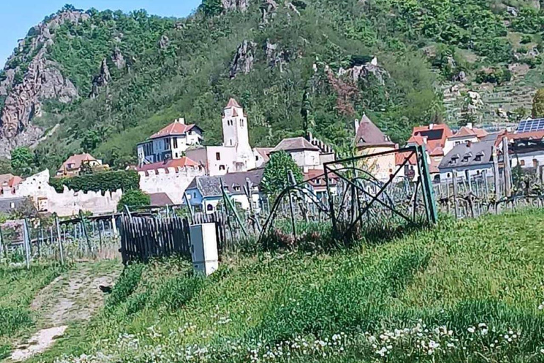 Wiedeń: prywatna wycieczka po Wachau do Dürnstein i Melk