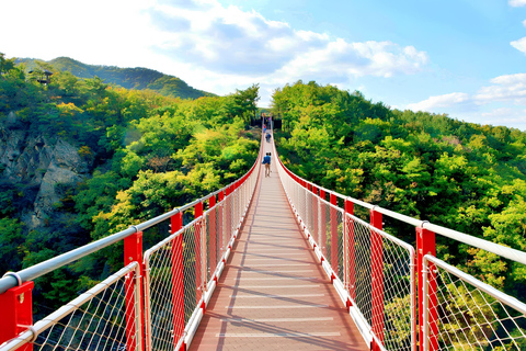 Seoul to DMZ: Waterfall, Hanok Village and Suspension Bridge Basic DMZ Tour (Myeongdong)