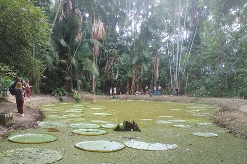 Prywatna wycieczka Musa Tour (ogród botaniczny)Wycieczka do Musa (ogród botaniczny Museu da Amazônia)