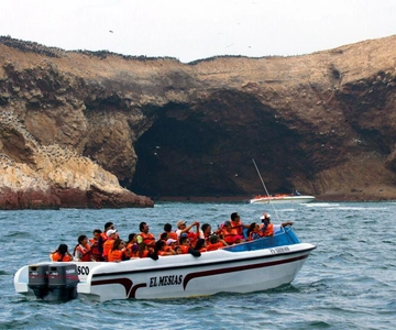 Nuota con i sealion sull'Isola di Palomino