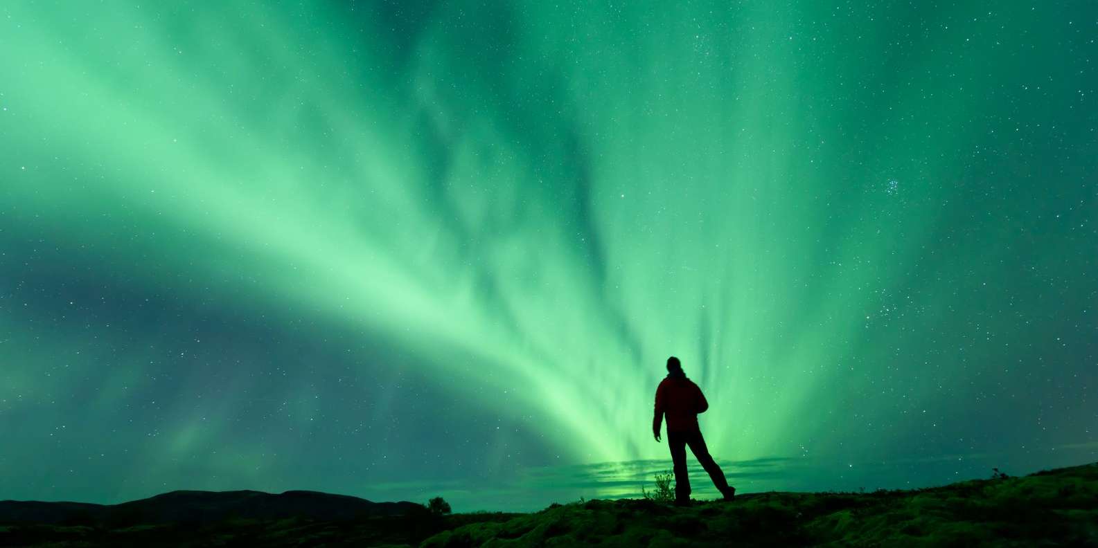 Aurora Borealis Northern Lights Tour From Reykjavik Getyourguide